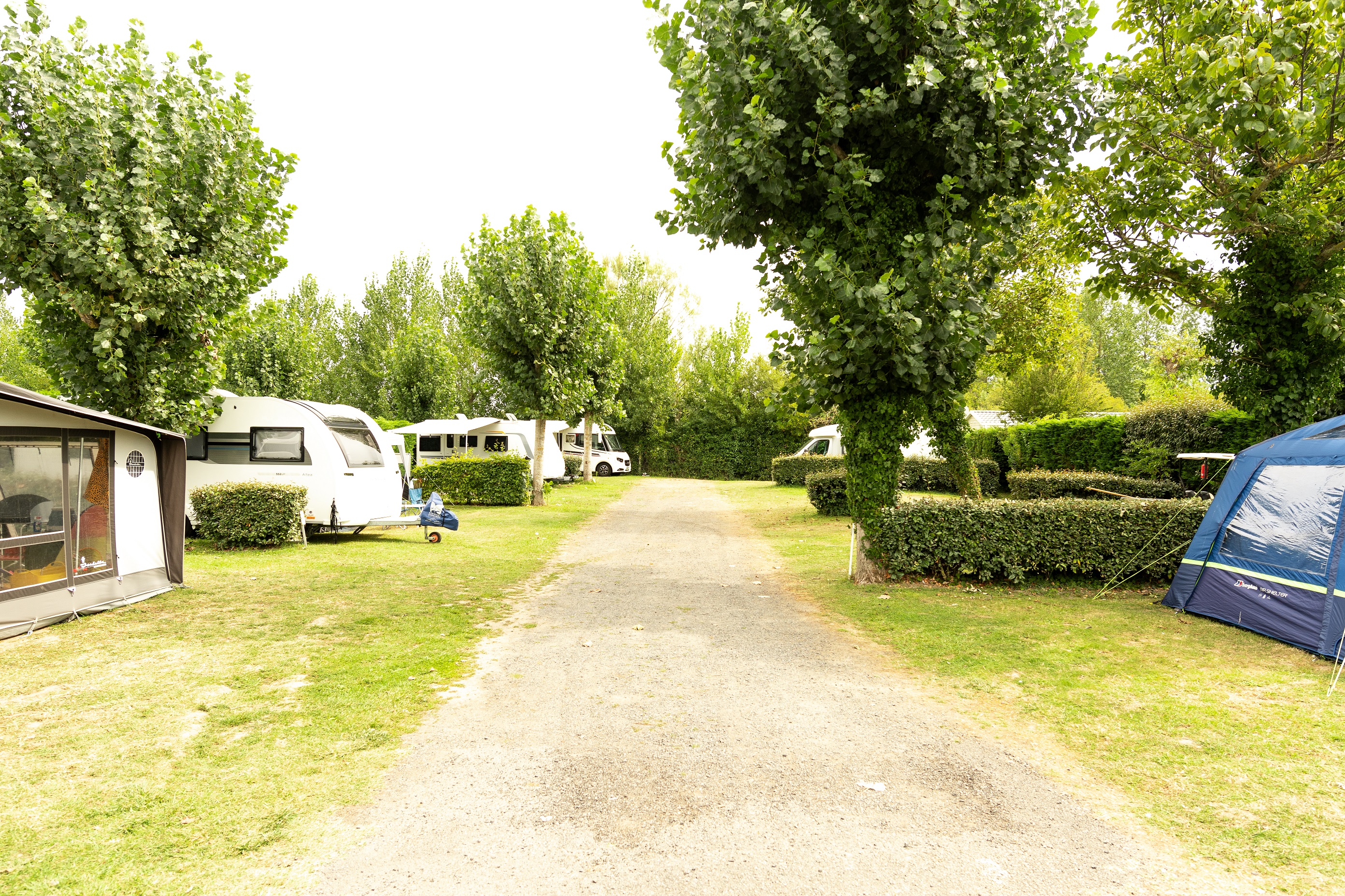 Emplacement caravane  + de 7m50 (1 vehicule, eau, electricité , évacuation eaux usées) 1/2 Pers.