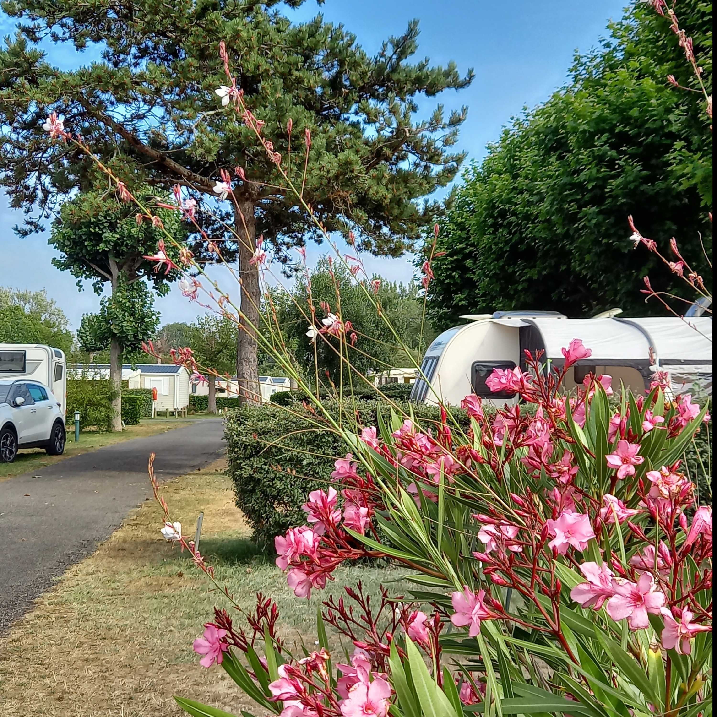 Emplacement caravane – de 7m50 (1 vehicule, eau, electricité , évacuation eaux usées) 1/2 Pers.