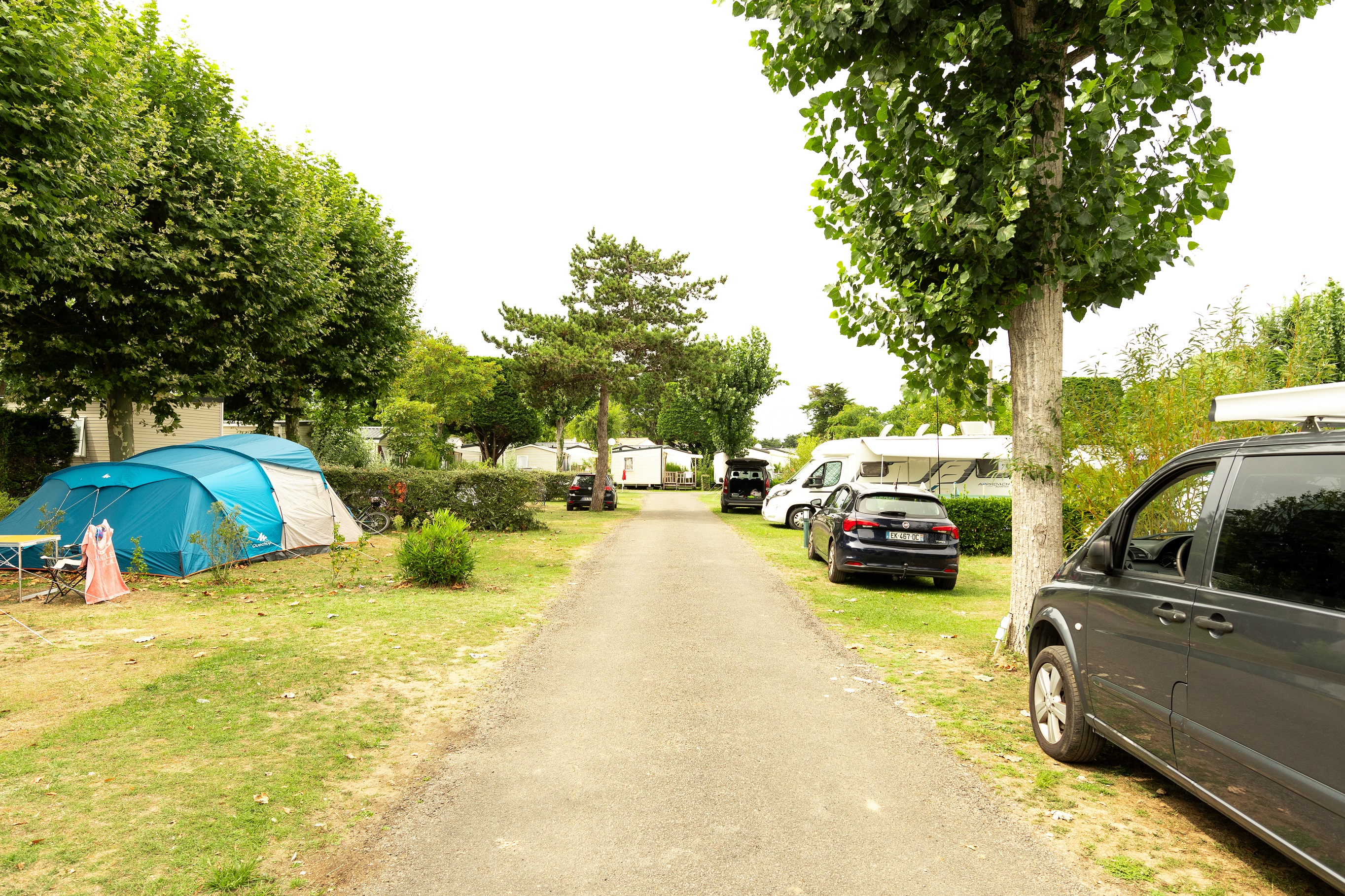 Emplacement tente ou caravane pliante + de 7m50  (eau, electricité, 1 véhicule ) 1/2 Pers.